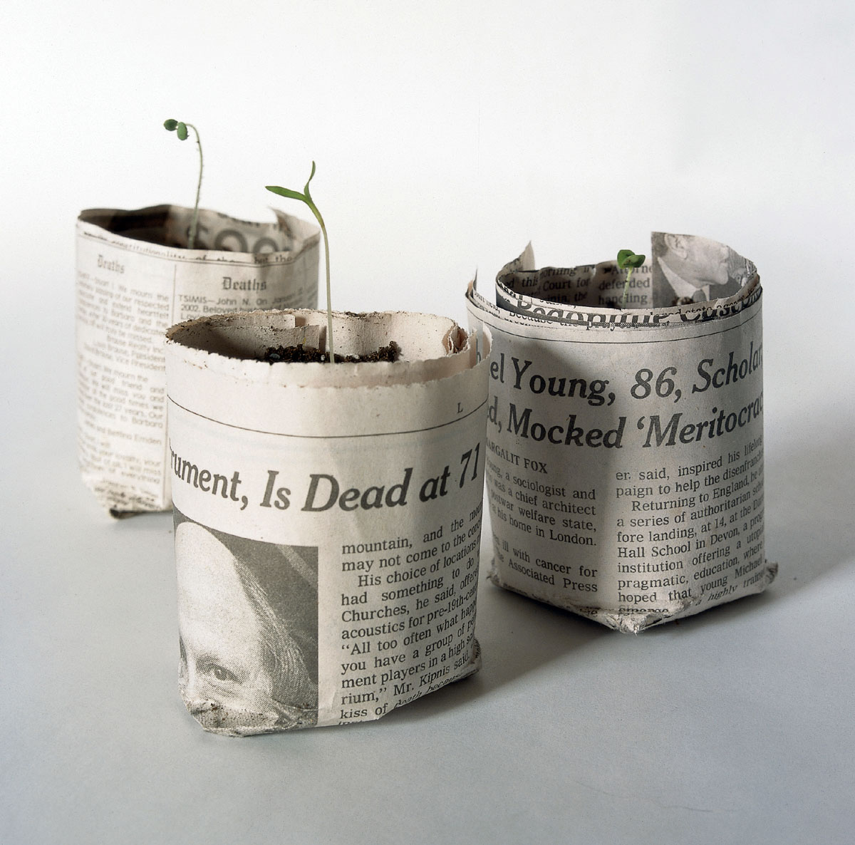 A photograph of the rolled newspaper pots offered by the Royal Potter free of charge to whoever writes him.