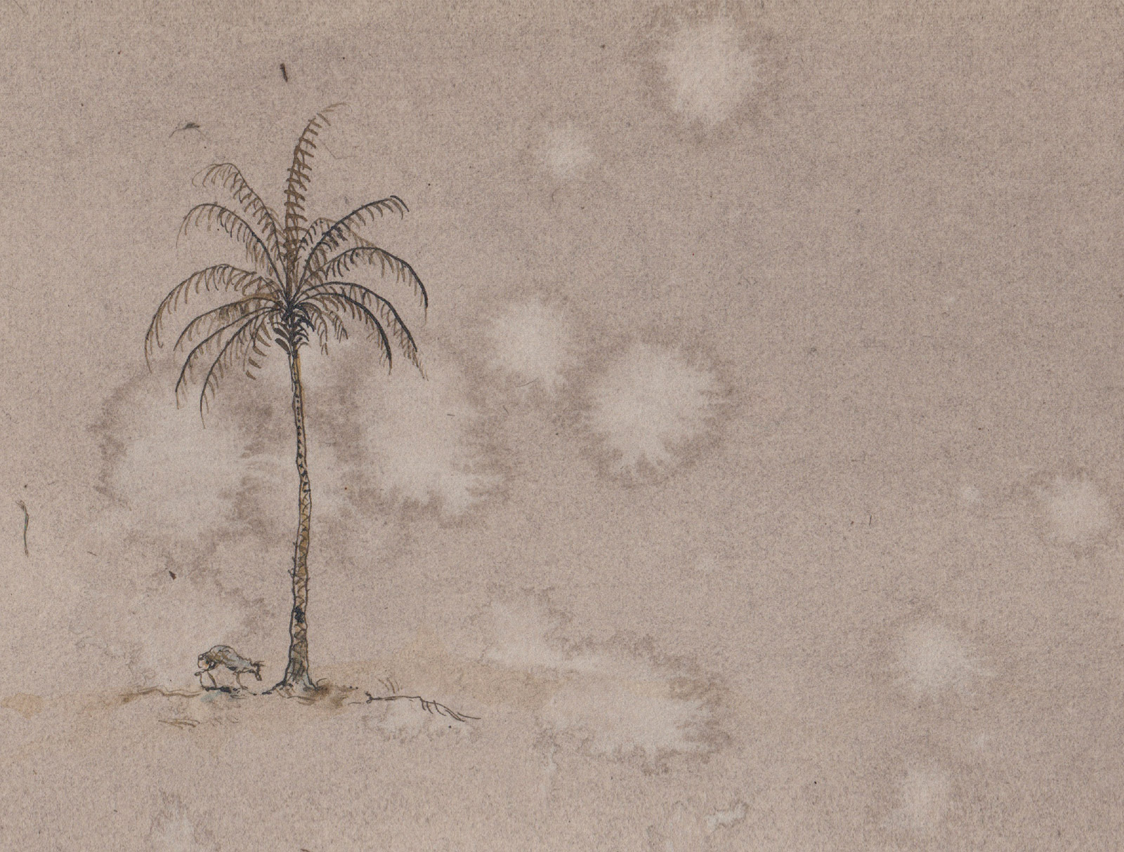 The front of a postcard featuring a drawing of a palm tree on faded cardstock with scattered bloom-shaped marks.
