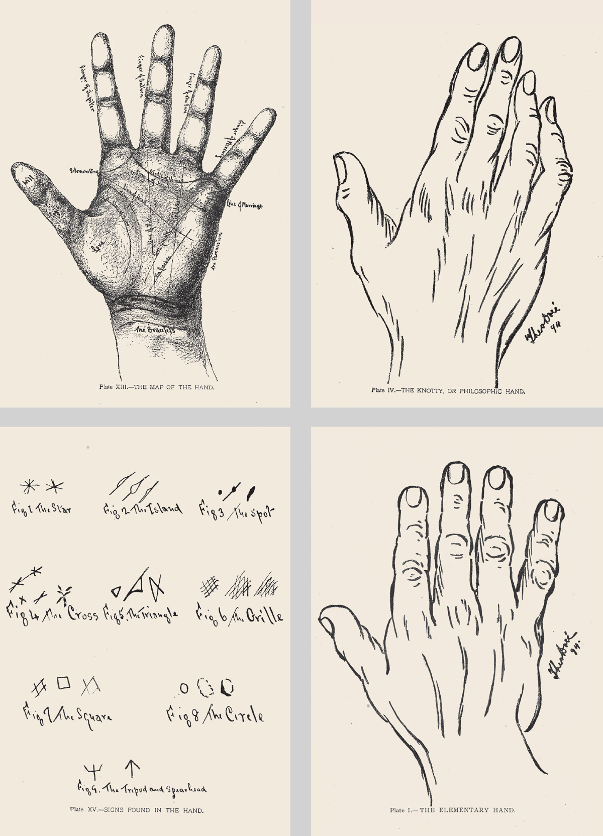 Four illustrations from Cheiro’s eighteen ninety four book “Language of the Hand,” depicting instructional diagrams and interpretive guides for palm reading.