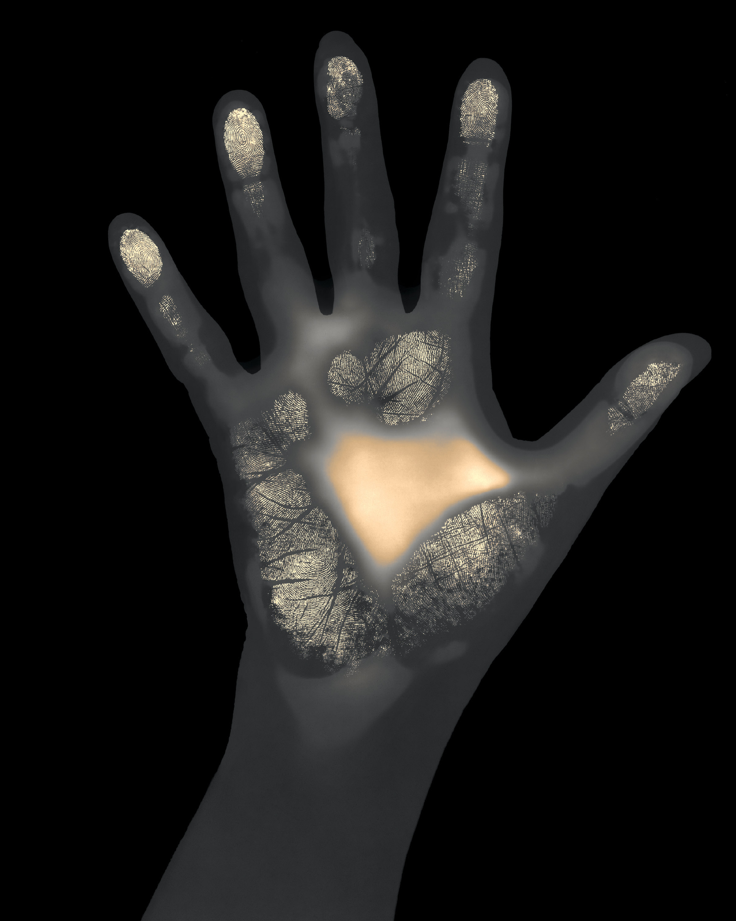 A twenty thirteen artwork by Gary Schneider of pigmented ink on paper entitled “Virginia MacKenny Twenty Thirteen,” depicting a hand in the style of an X-ray visualization.