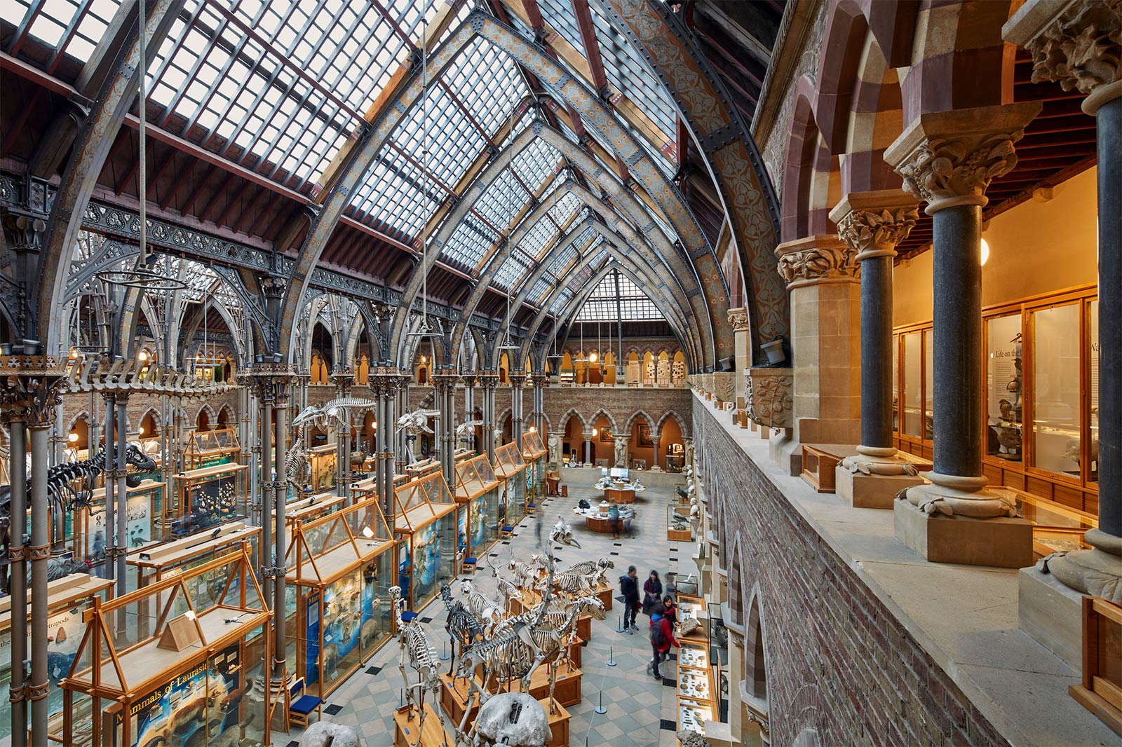 The interior of the Oxford University Museum of Natural History, designed by Thomas Newenham Deane and Benjamin Woodward and built between 1855 and 1860.