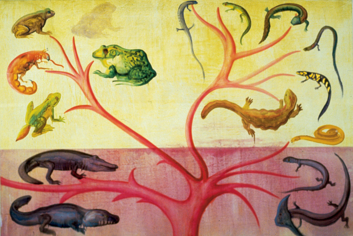 Top: Philip Taaffe, Metacrinus Angulatus, 1997. Bottom: Alexis Rockman, Amphibian Revolution, 1986 (courtesy Gorney Bravin + Lee).