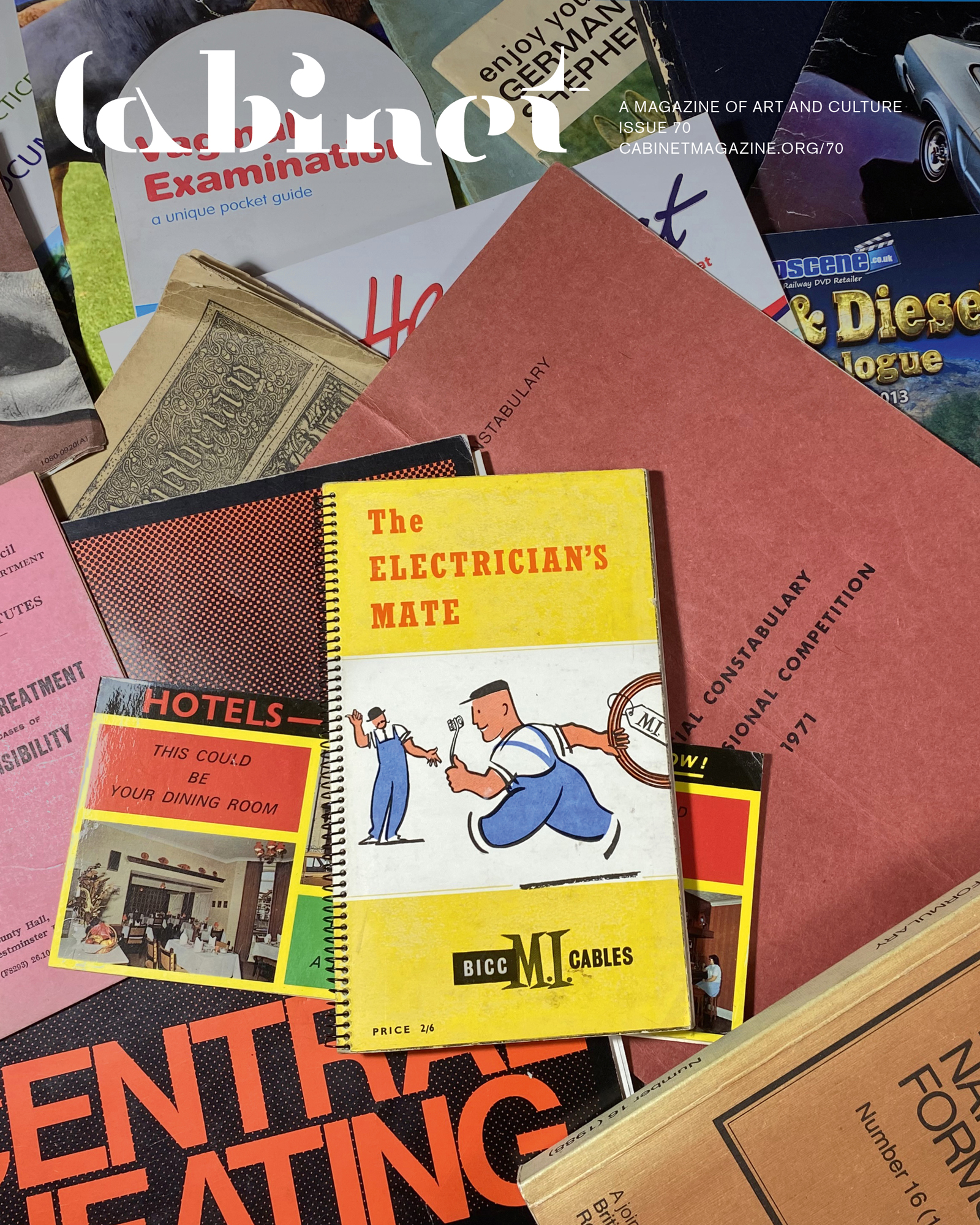 Assorted pamphlets and brochures arrayed on a table.