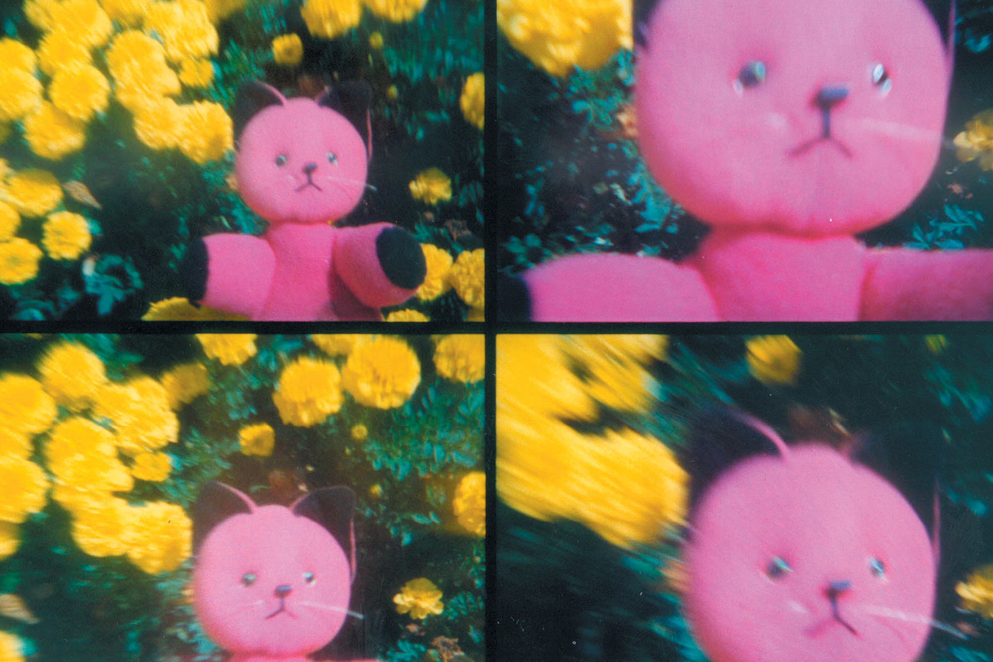 Four Lomographic images depicting a pink stuffed cat doll in front of yellow flowers.