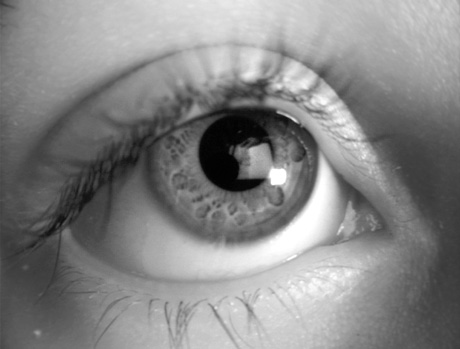 A close-up photograph of a child's eye by artist Wendy Ewald, circa 2002.